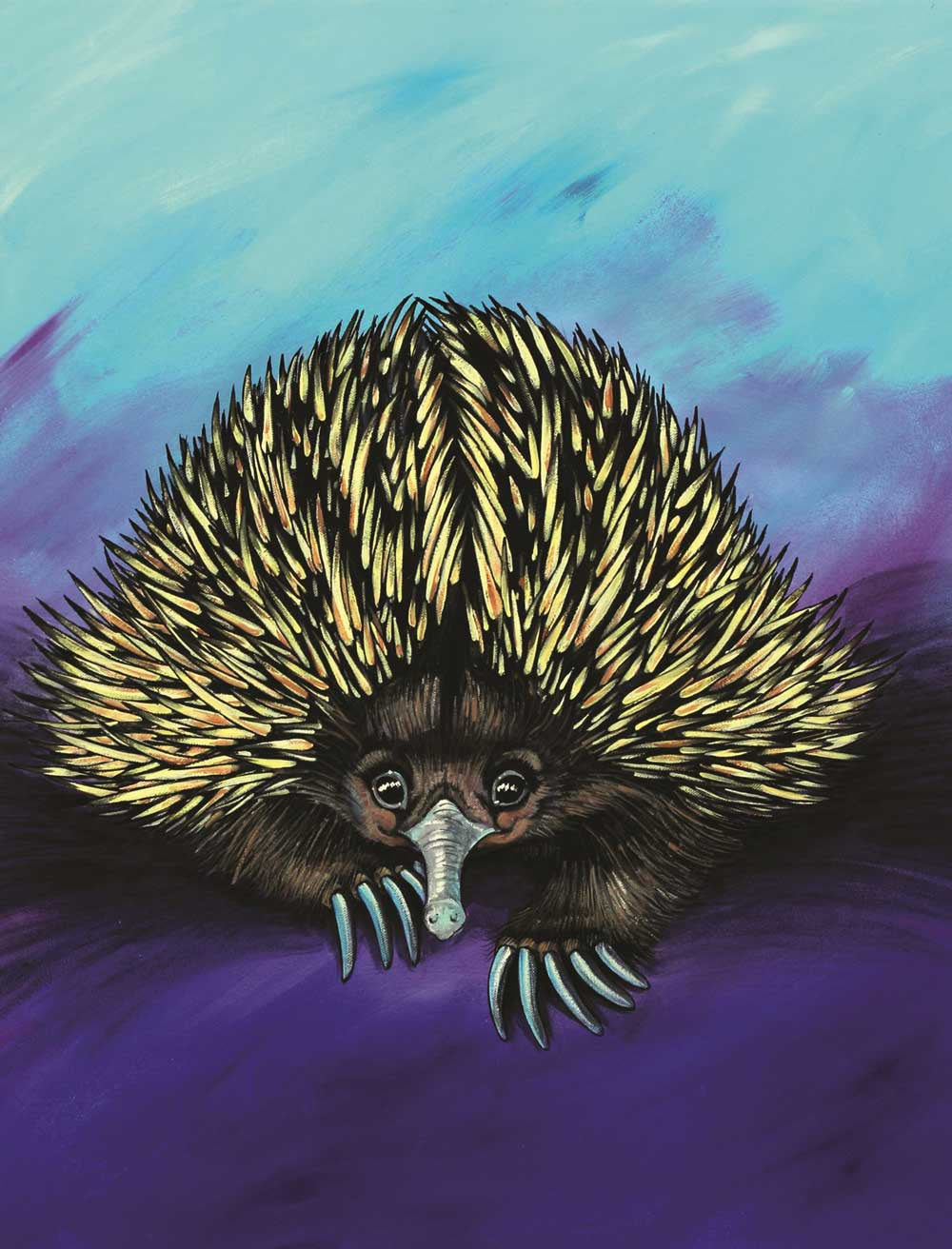 Shuffle the Echidna – Canvas Print
