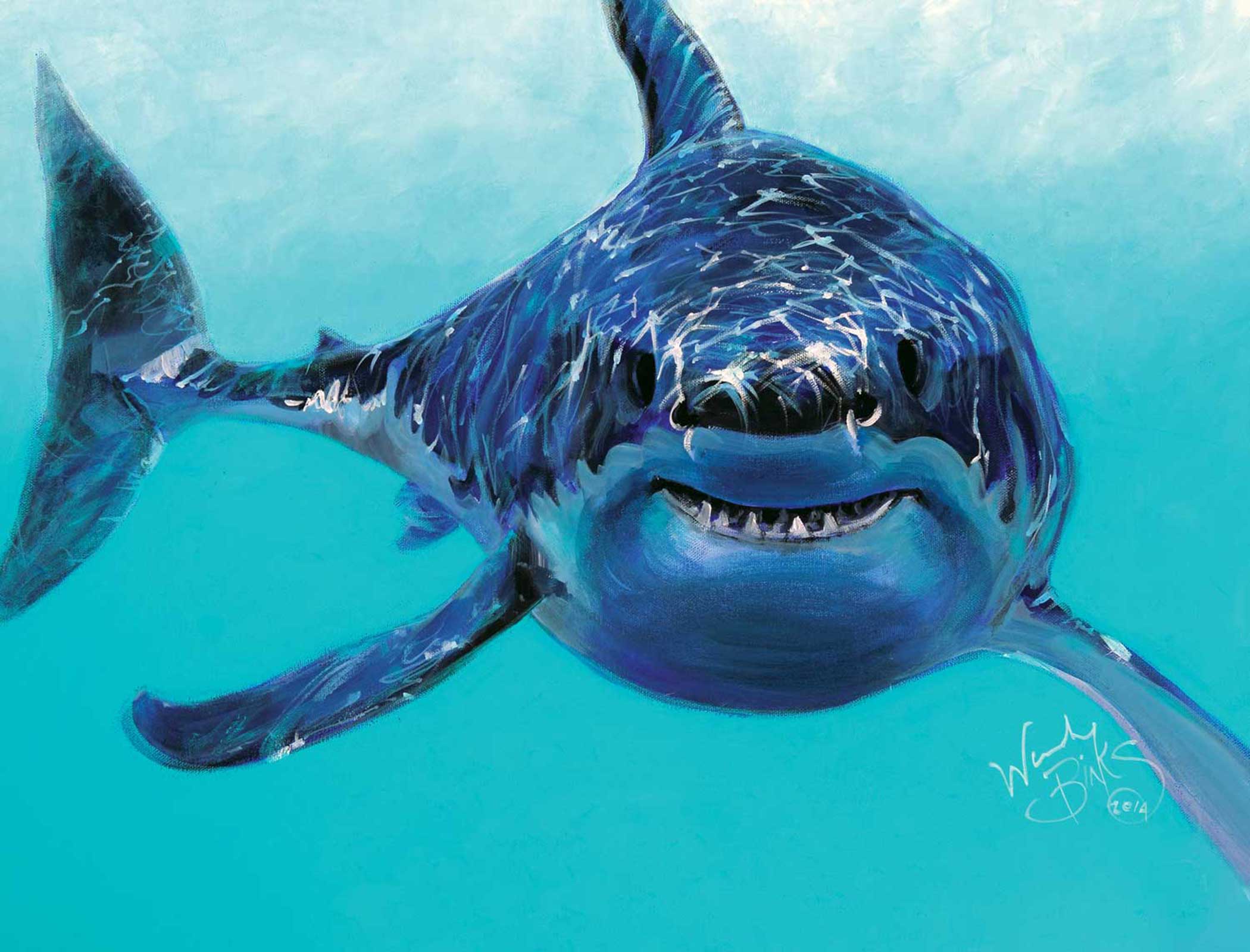 CAN6-SHARK-3242.jpg