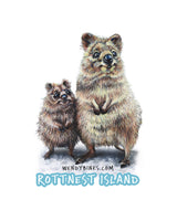 Quokka Rottnest Island – Decal