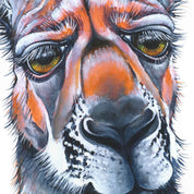 Boss Roo – Original Artwork - Stunned Emu Designs by Wendy Binks