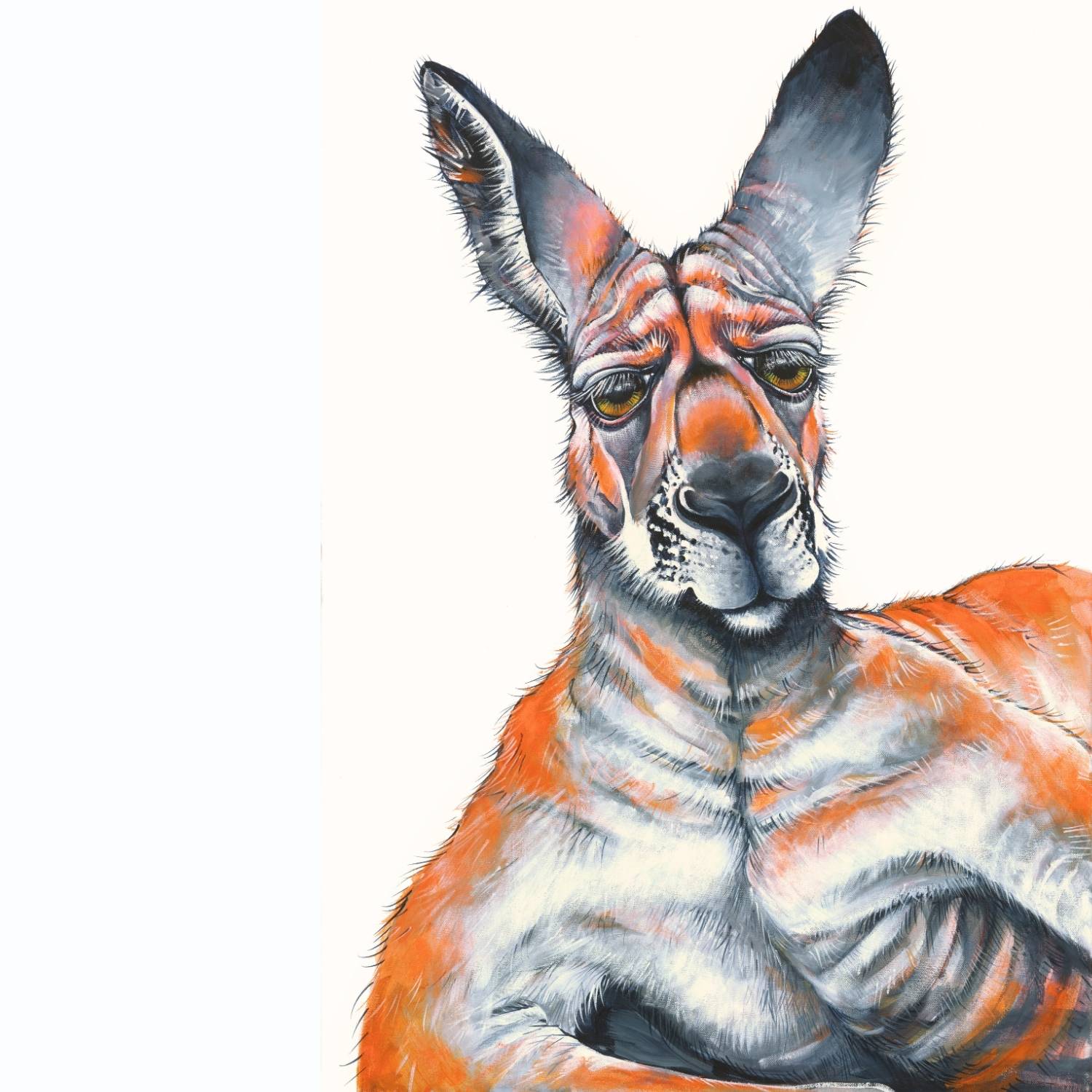 Boss Roo – Original Artwork - Stunned Emu Designs by Wendy Binks
