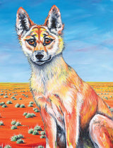 Dingo – Canvas Print