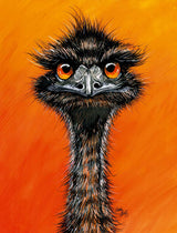 Emu with Attitude – Canvas Print