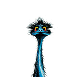 Emu with Attitude – Decal