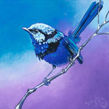 Feathered Jewel – Original