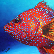 Fish of the Day – Canvas Print - Stunned Emu Designs by Wendy Binks