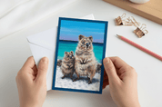 Greeting Cards – Box Set - Stunned Emu Designs by Wendy Binks