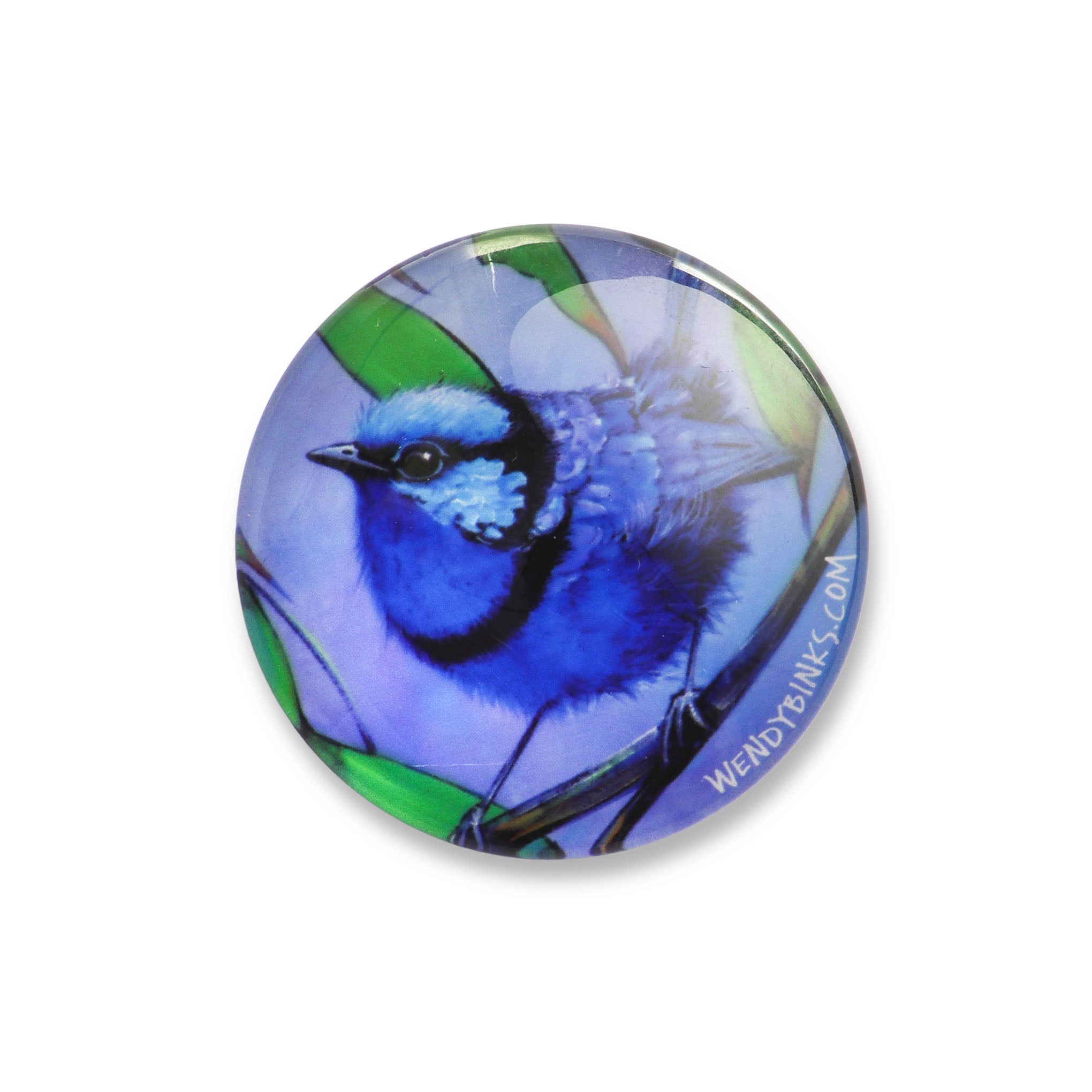 Splendid Wrens – Glass Magnet - Stunned Emu Designs by Wendy Binks