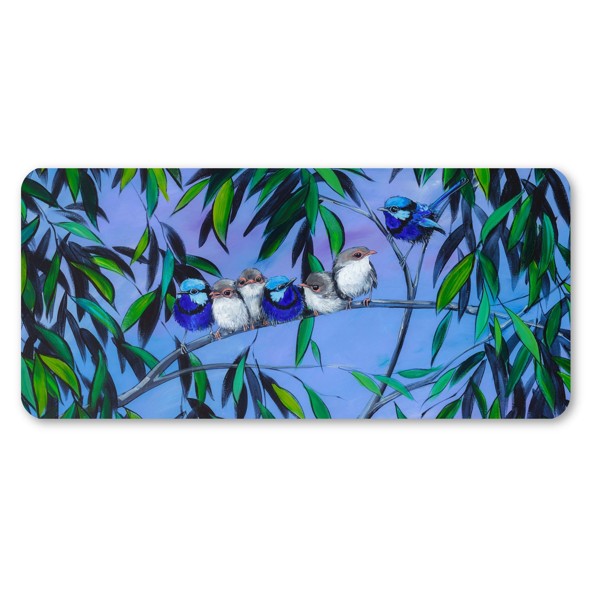 Splendid Wrens – Large Magnet - Stunned Emu Designs by Wendy Binks