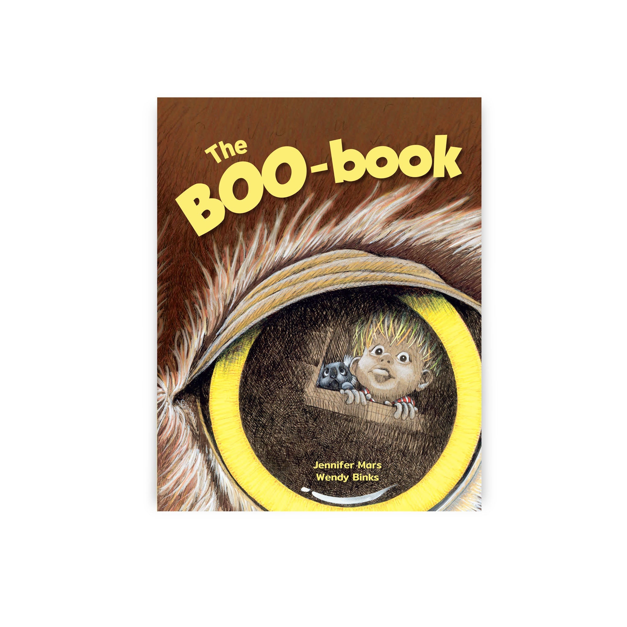 The Boobook – Children's Book - Stunned Emu Designs by Wendy Binks