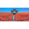 Set of 6 Large Magnets - Image 3