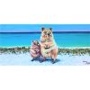 Set of 6 Large Magnets - Image 6
