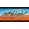 Running Emus - Image 2