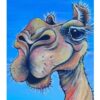 Camel on the Canning Stock Route - Image 3