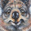 Quokka Smile - Image 2
