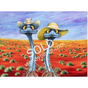 2 emus with hats