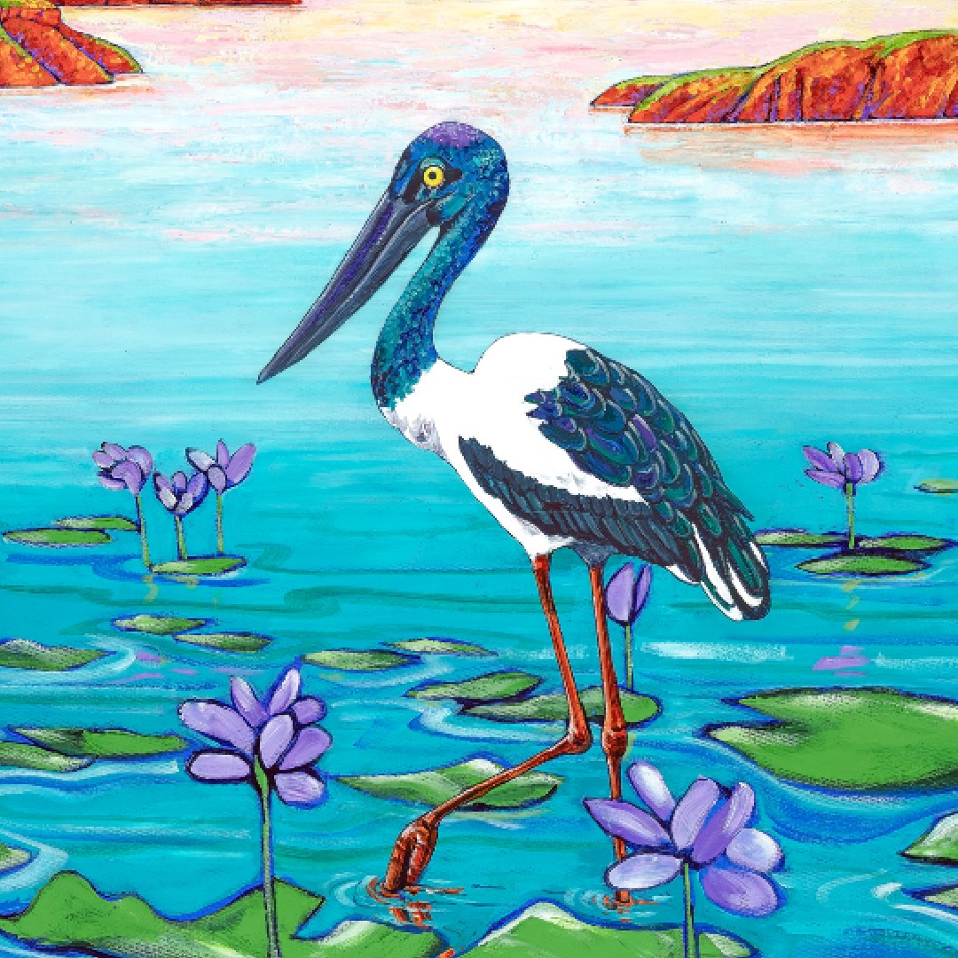 Jabiru detail