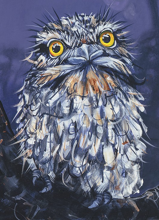 Owls x8 a4