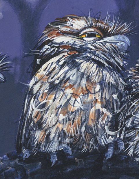 Owls x8 ssa4