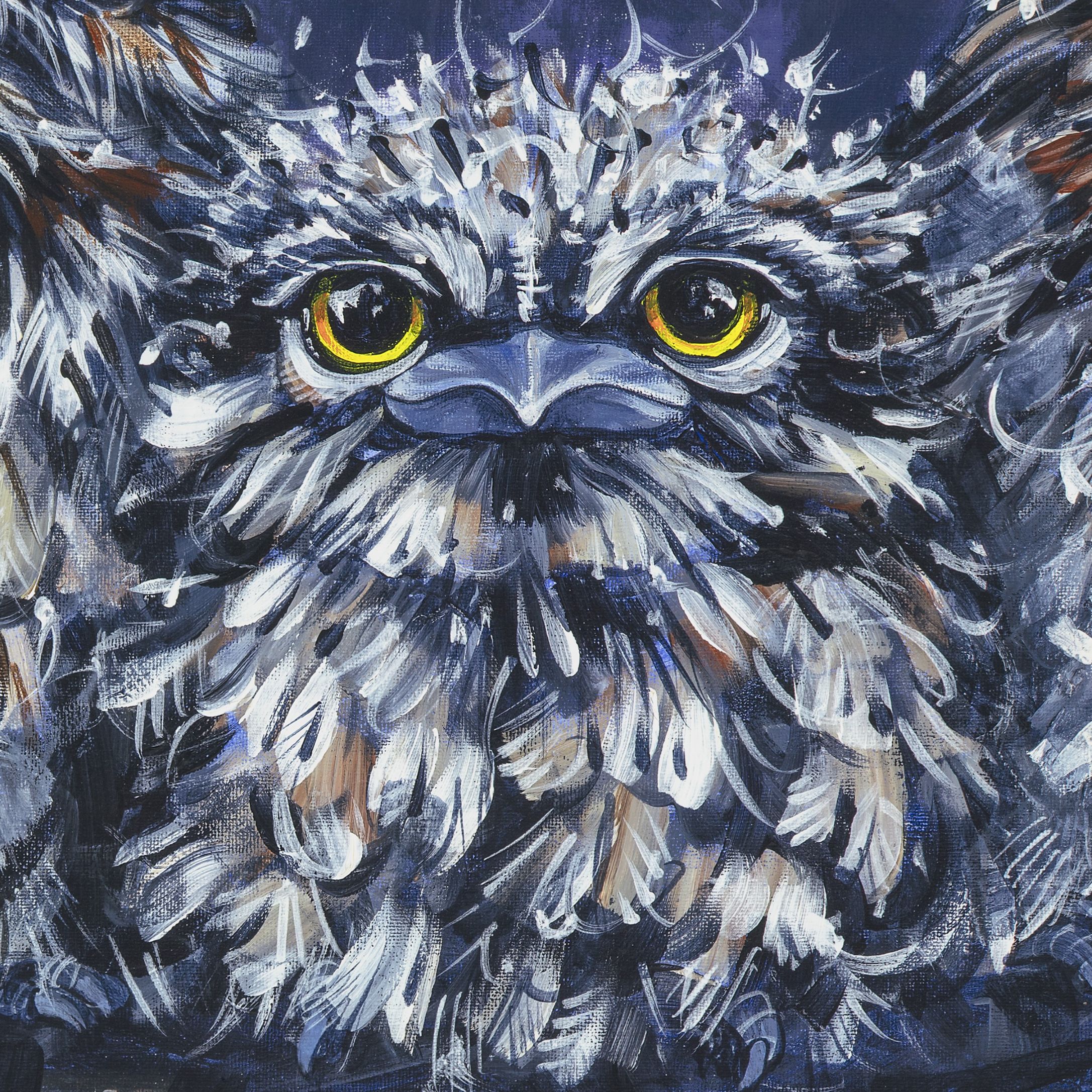 Tawny frogmouths detail